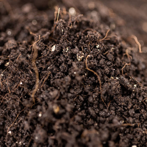 HB4 (Home Blend v4) Sterile Mushroom Substrate